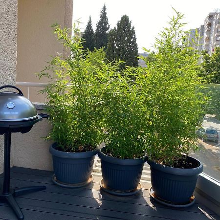 Big Tree Apartment & The Nest Apartment - Free Parking Mostar Buitenkant foto